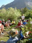 2006 101 (Custom).jpg (265276 bytes)