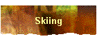 Skiing