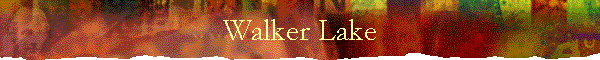 Walker Lake