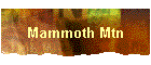 Mammoth Mtn
